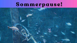 Sommerpause im Ross